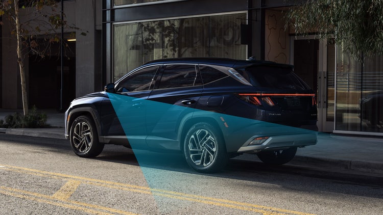 Standard Safe Exit Warning