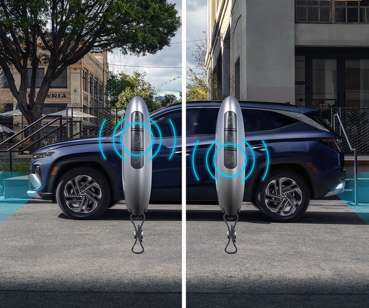 Remote Smart Parking Assist