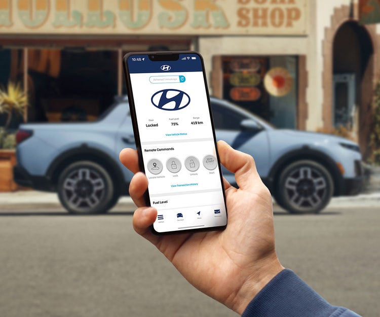 Standard Bluelink® connected vehicle system