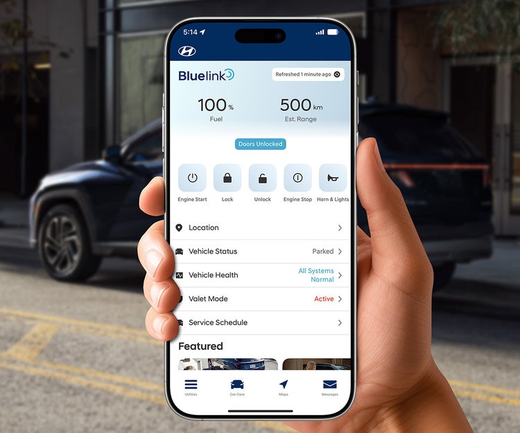 Standard Bluelink® connected vehicle system
