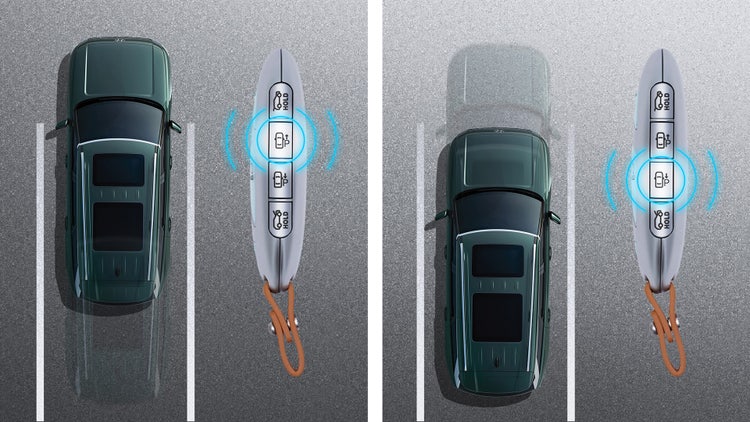 Remote Smart Park Assist (Available)