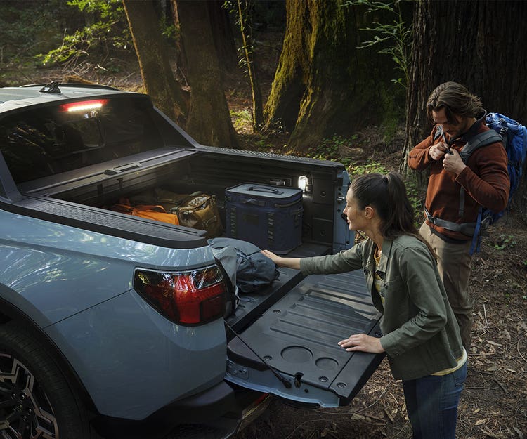 Standard cargo D-rings