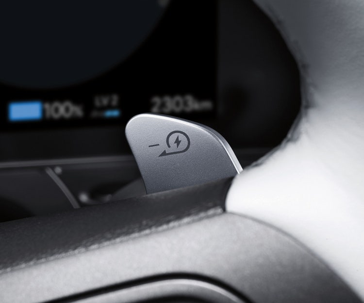 Standard i-Pedal driving