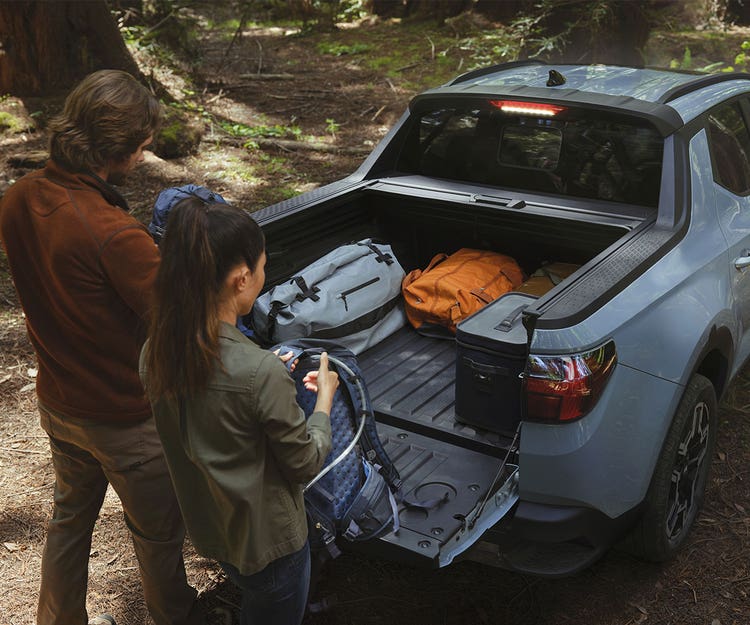 Standard dual c-channel utility bed tracks