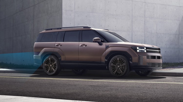 Standard Safe Exit Assist (SEA)