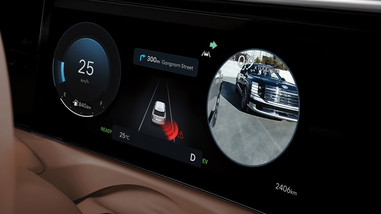 Blind View Monitor (Available)