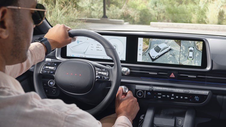 Surround view monitor