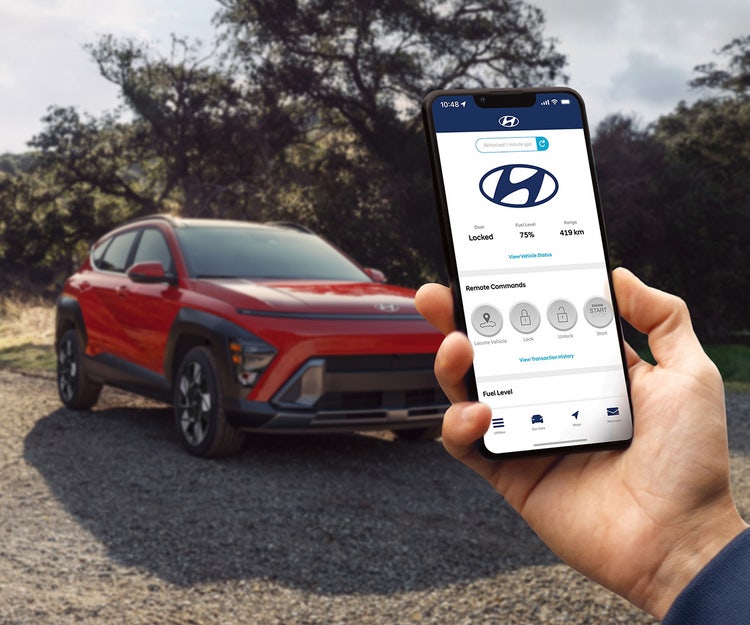 Bluelink&amp;reg; connected vehicle system